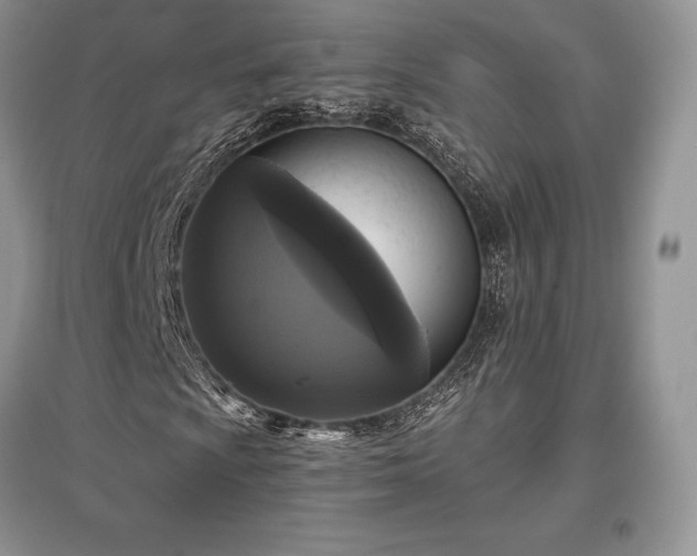 X0000097631009200803071526