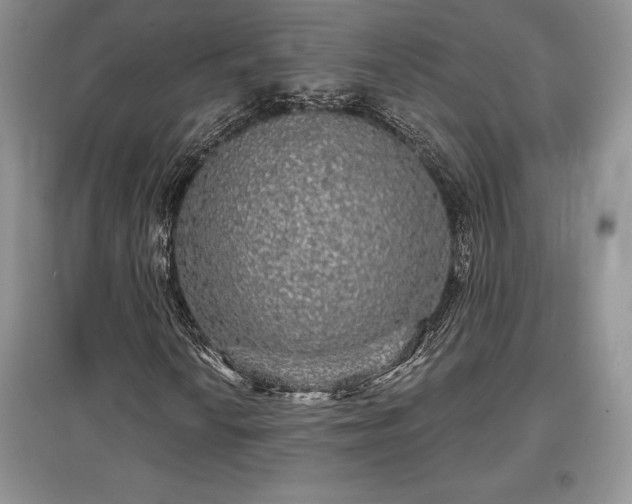 X0000097631010200803071526