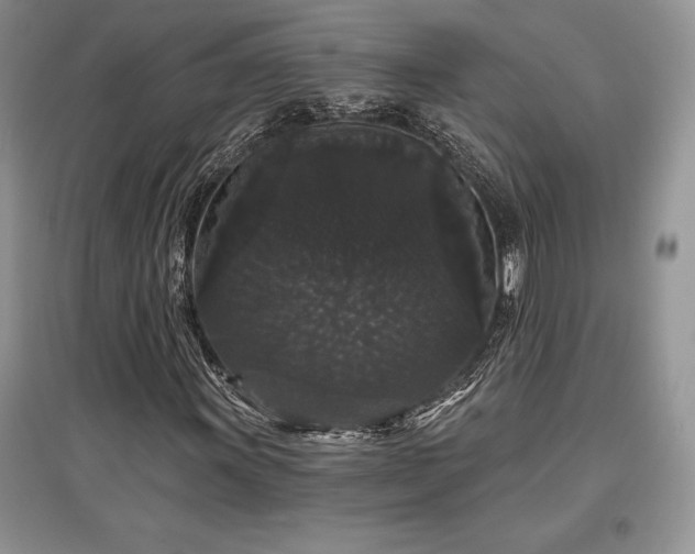 X0000097631011200803071526