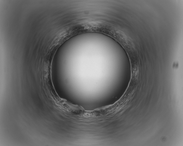 X0000097631012200803071526