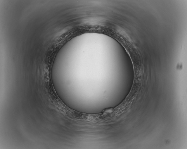 X0000097631013200803071526