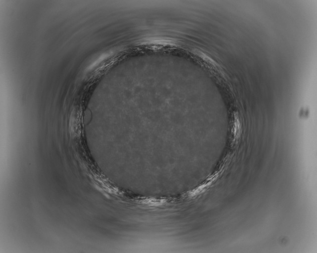 X0000097631014200803071526