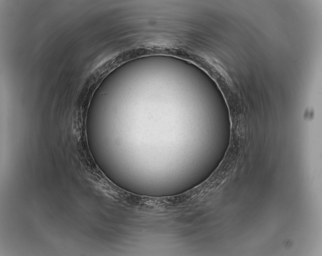 X0000097631015200803071526