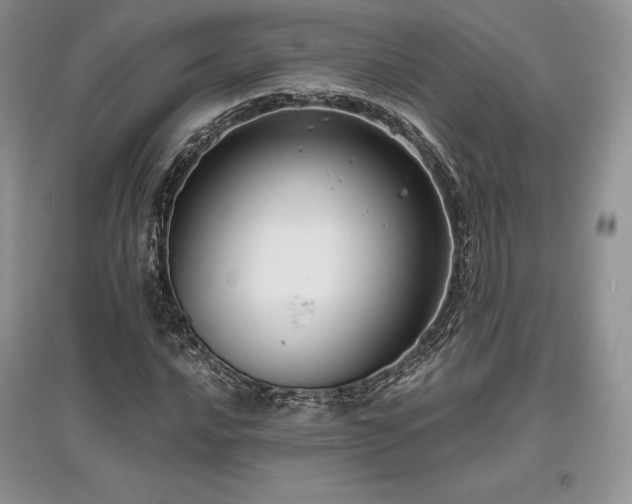 X0000097631016200803071526