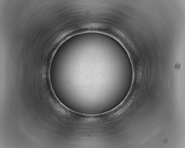 X0000097631017200803071526