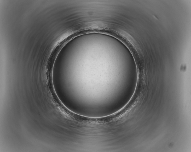 X0000097631018200803071526