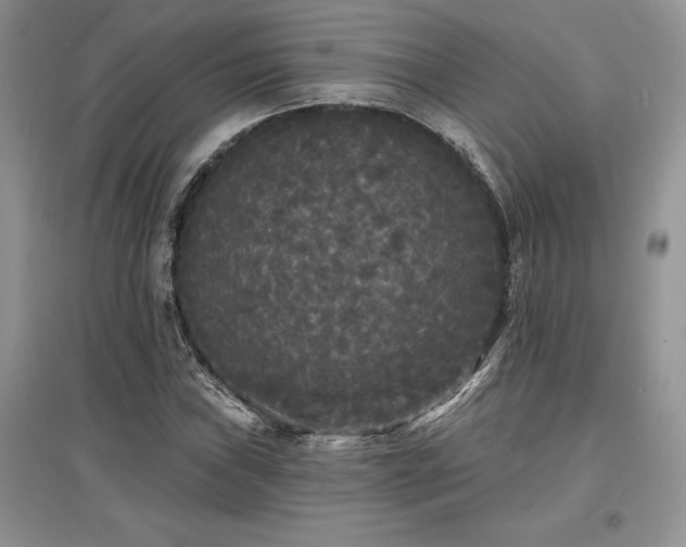 X0000097631019200803071526