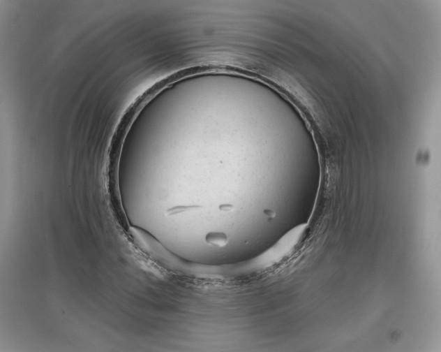 X0000097631020200803071526