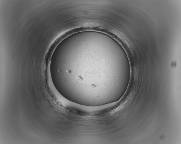 X0000097631021200803071526