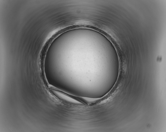 X0000097631022200803071526