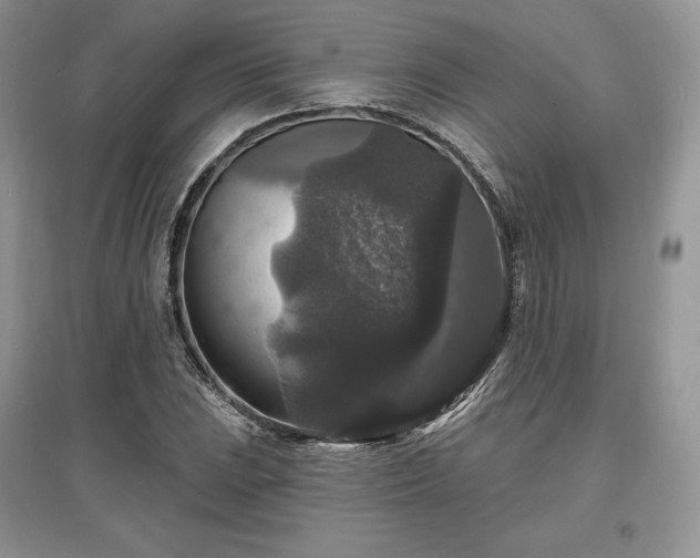 X0000097631023200803071526