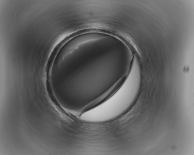 X0000097631024200803071526