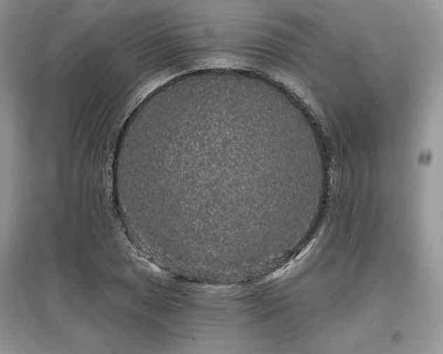 X0000097631025200803071526