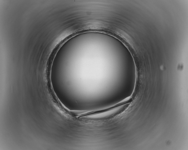 X0000097631026200803071526