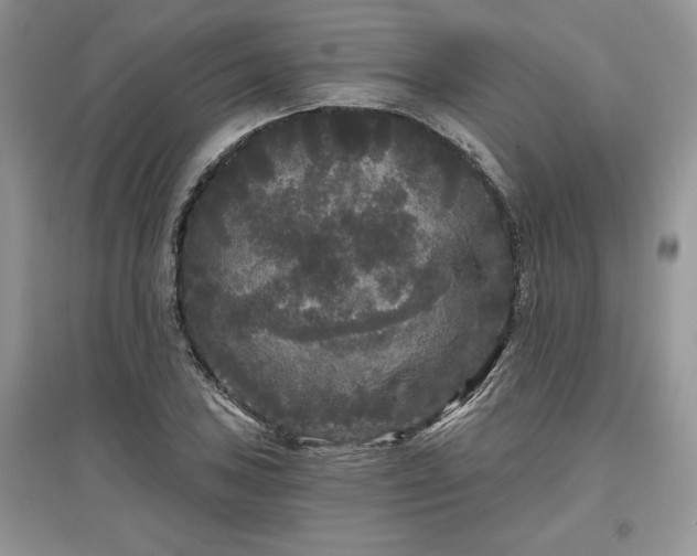 X0000097631027200803071526