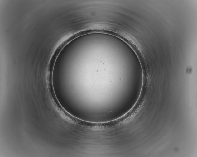 X0000097631029200803071526