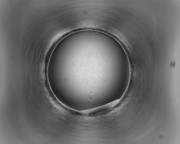 X0000097631030200803071526