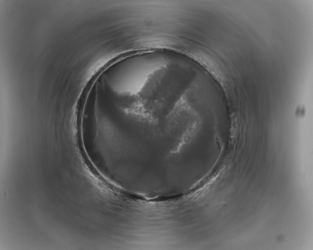 X0000097631031200803071526