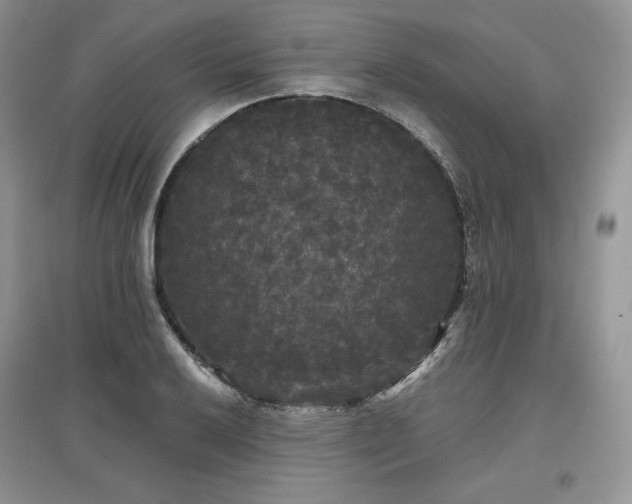 X0000097631032200803071526