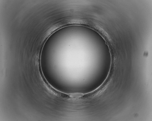 X0000097631033200803071526