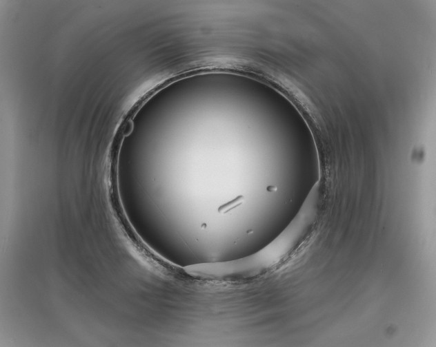 X0000097631034200803071526