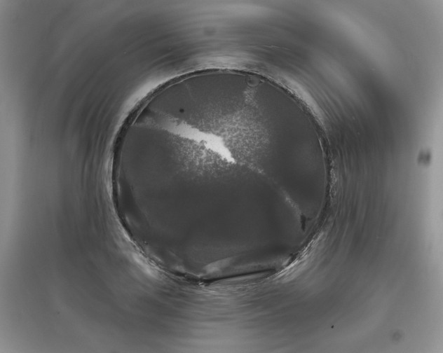 X0000097631035200803071526