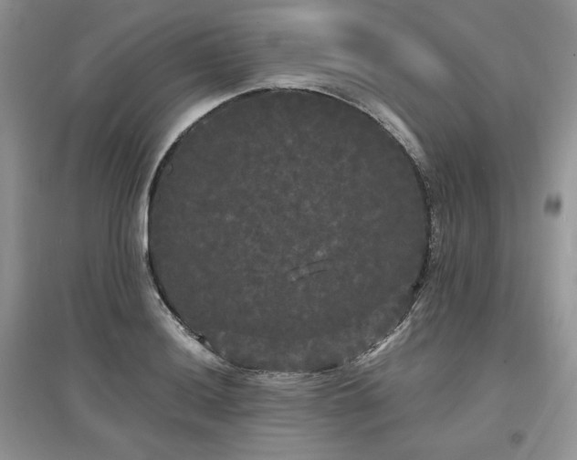 X0000097631036200803071526