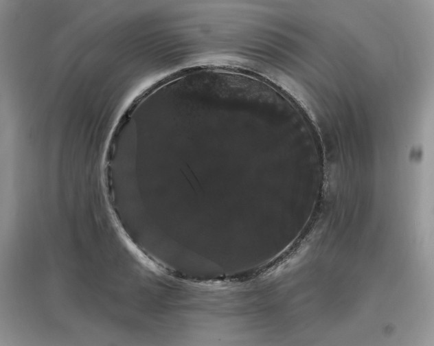 X0000097631037200803071526