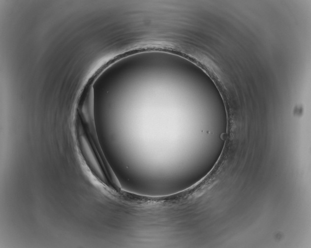 X0000097631038200803071526