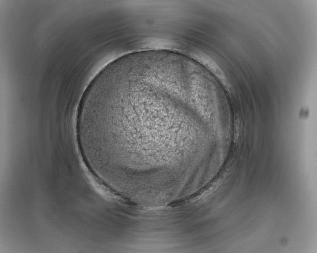 X0000097631039200803071526