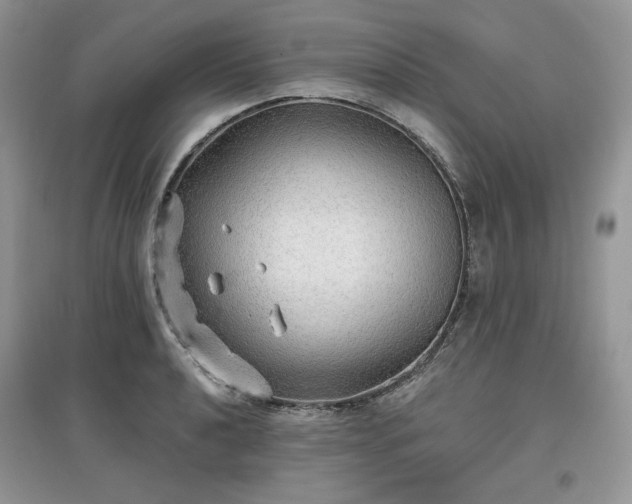 X0000097631040200803071526