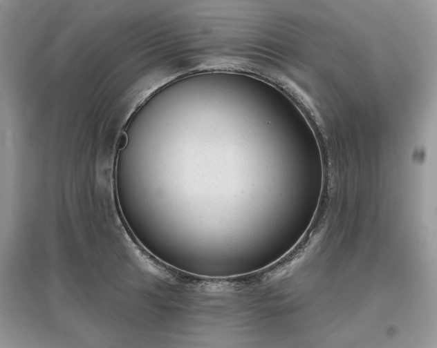 X0000097631041200803071526