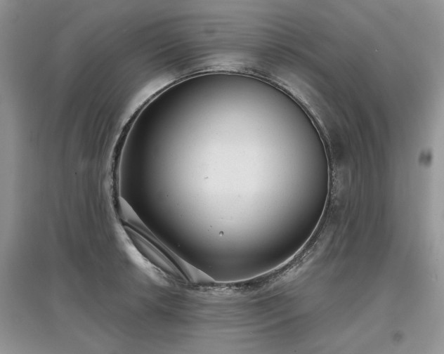 X0000097631042200803071526