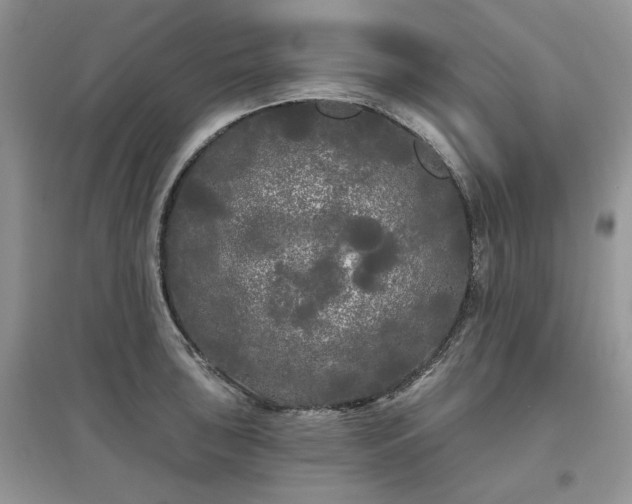 X0000097631043200803071526