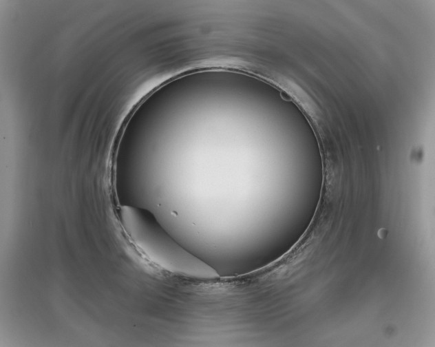 X0000097631044200803071526