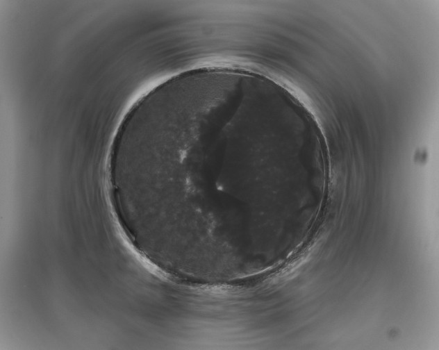 X0000097631045200803071526