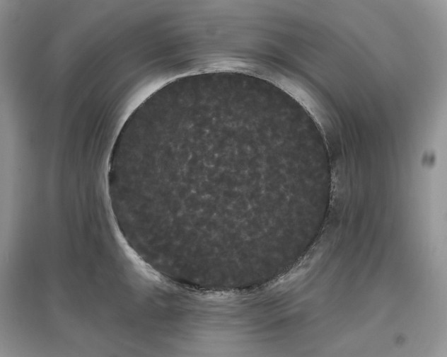 X0000097631047200803071527