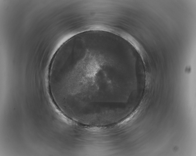 X0000097631048200803071527