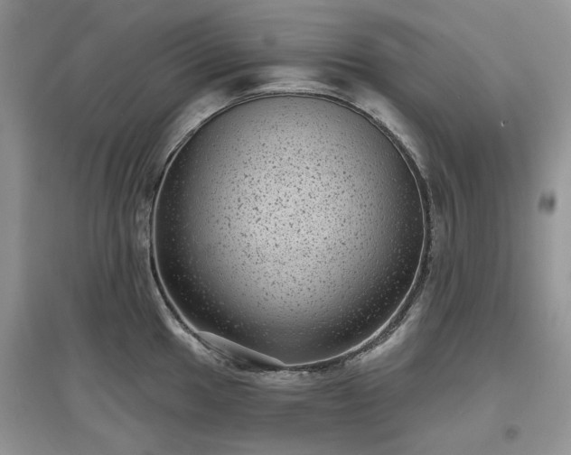 X0000097631049200803071527