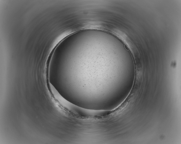 X0000097631050200803071527