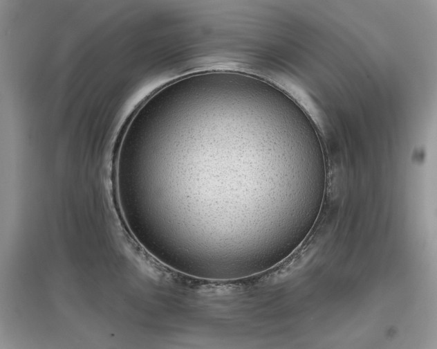 X0000097631051200803071527