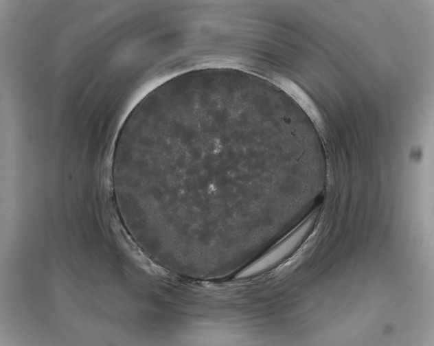 X0000097631052200803071527