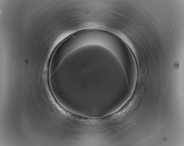 X0000097631053200803071527