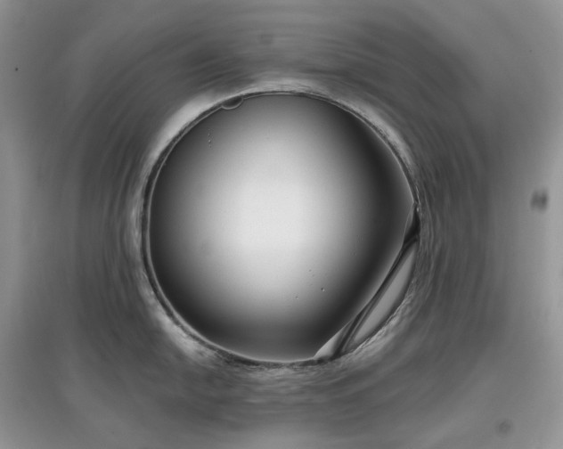 X0000097631054200803071527