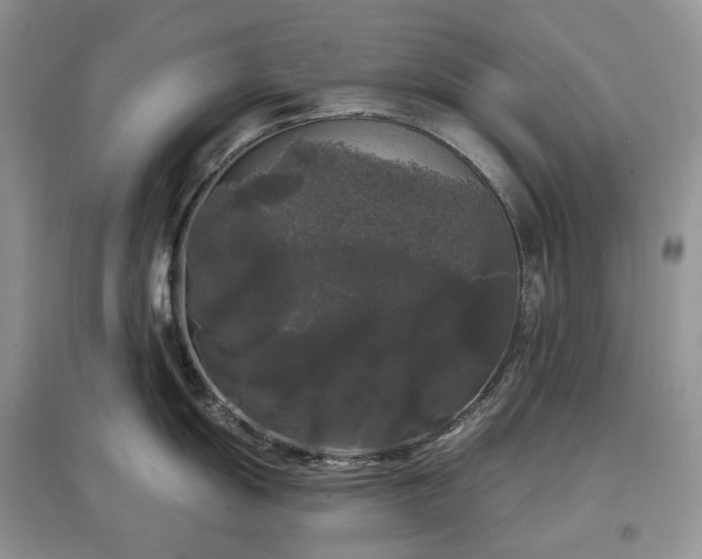 X0000097631055200803071527