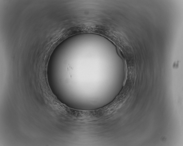 X0000097631057200803071526