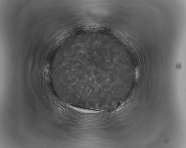 X0000097631059200803071526