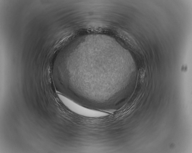 X0000097631060200803071526