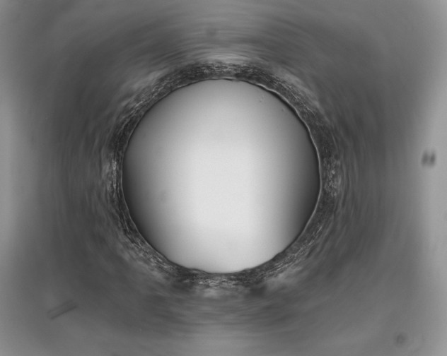 X0000097631061200803071526