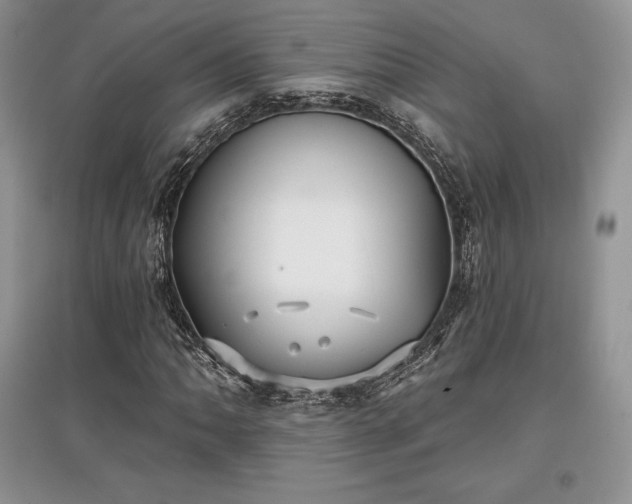 X0000097631062200803071526